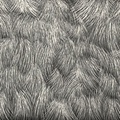 Lucky Rabbit‘s Foot